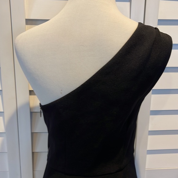 Express One Shoulder NWOT Dress with Side Zipper and lined! - Picture 7 of 11